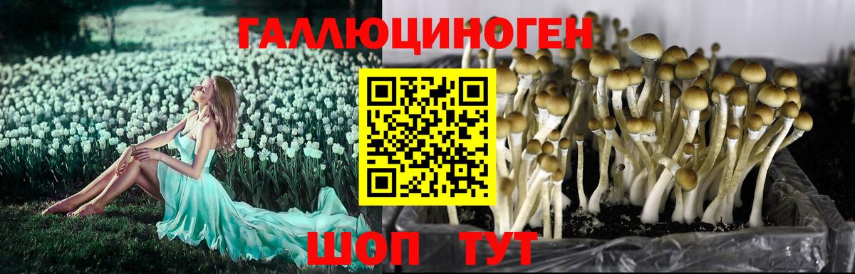 Галлюциногенные грибы Magic Shrooms  Вход с VPN  Артём 