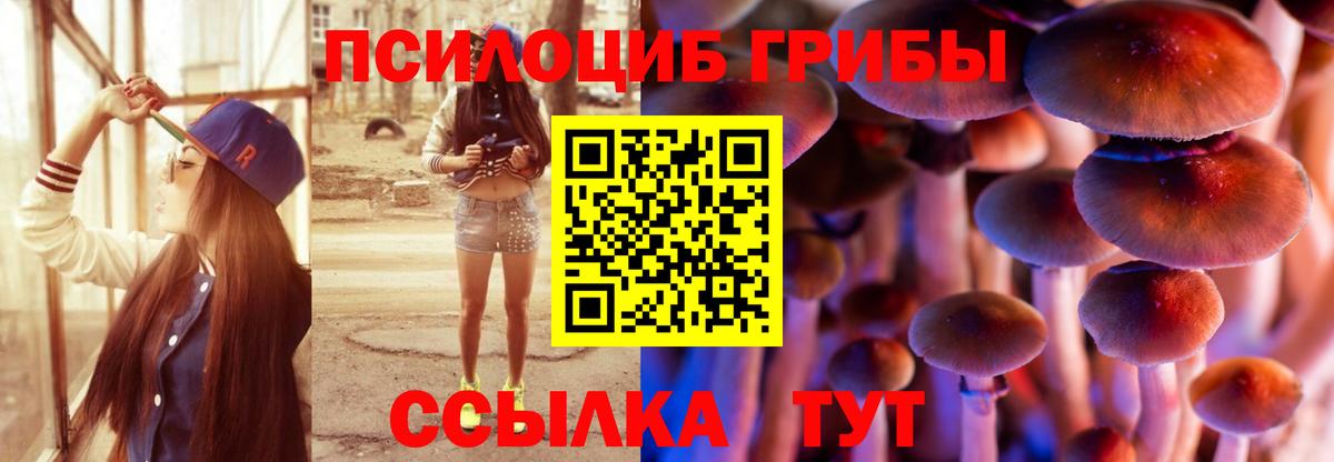 Галлюциногенные грибы Magic Shrooms Артём